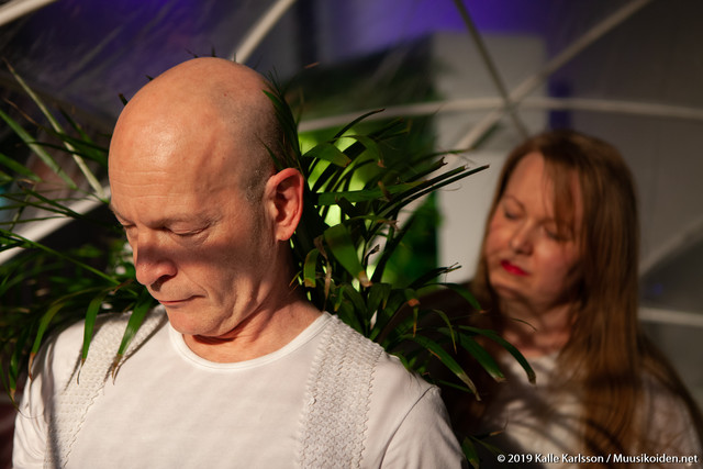 Fern Orchestra Fern Orchestra